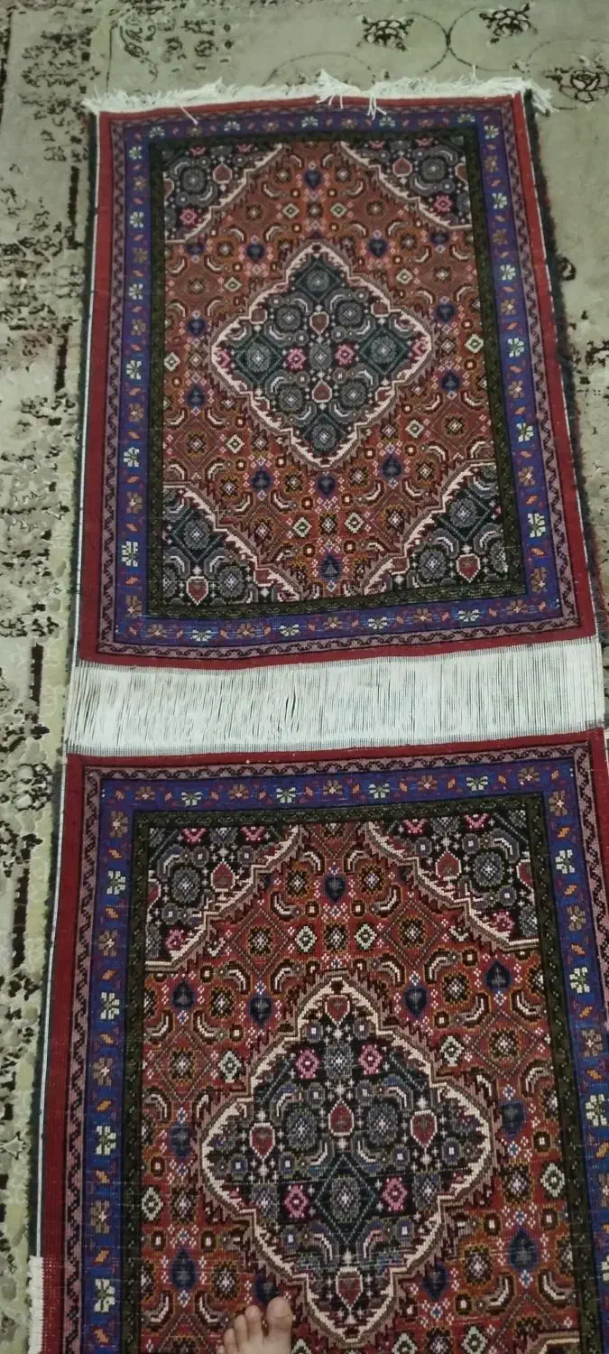 پادری|پادری|اردبیل, |دیوار