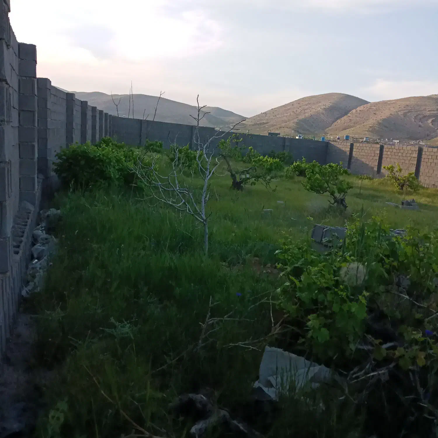 ۲۰۰مترمسکونی و۱۰۰۰مترباغشهری کلستان|فروش زمین و ملک کلنگی|شیراز, گلستان|دیوار