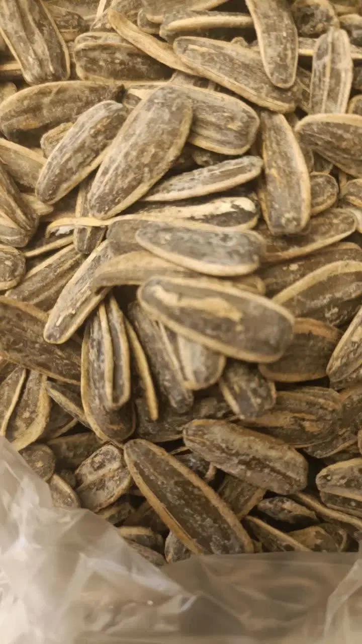 تخفیفات|خوردنی و آشامیدنی|شیراز, شهرک برق|دیوار
