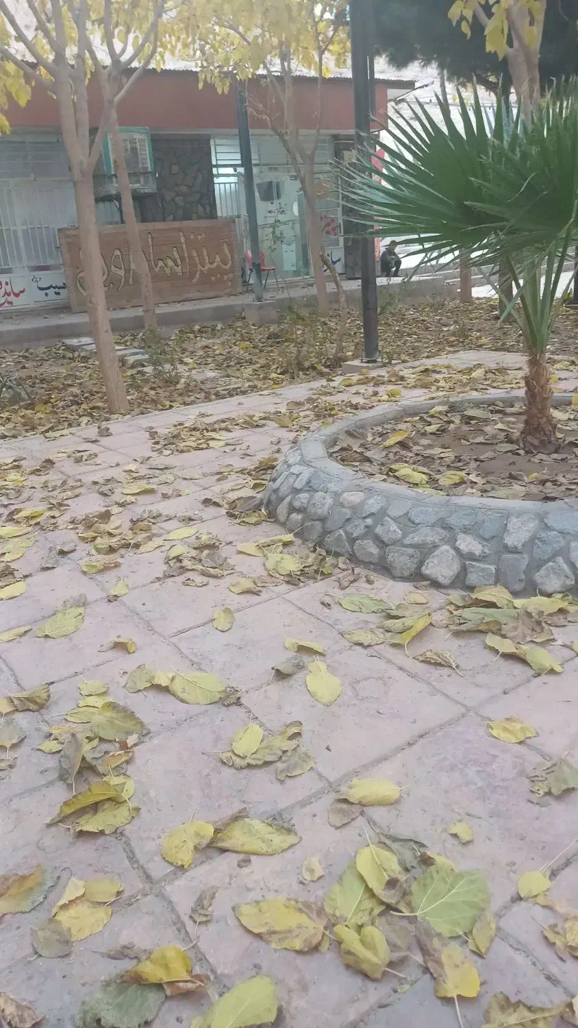 گمشده گواهینامه و بیمه نامه|اشیا|کرمان, |دیوار