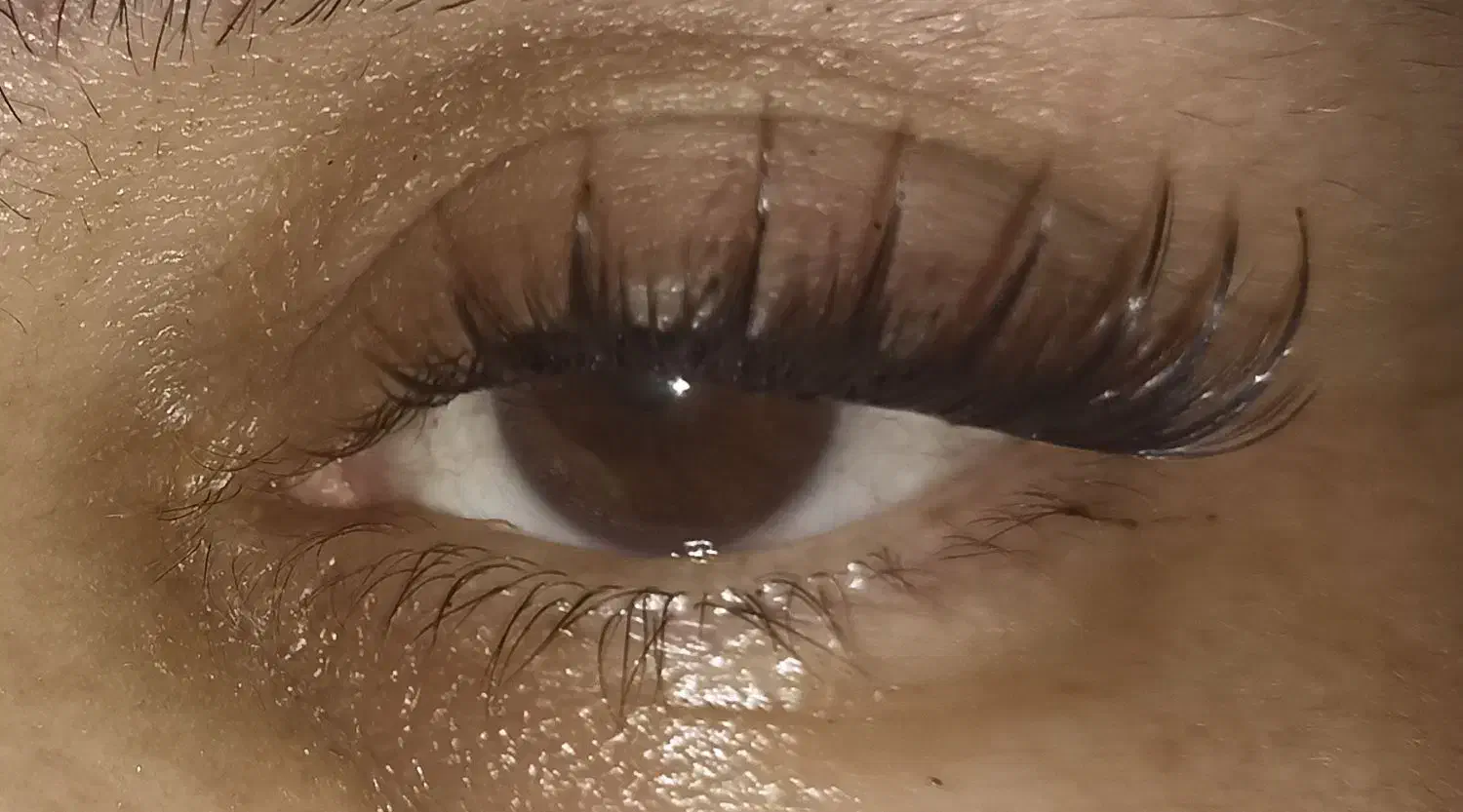 کاشت مژه|خدمات آرایشگری و زیبایی|اهواز, بیست متری شهرداری|دیوار