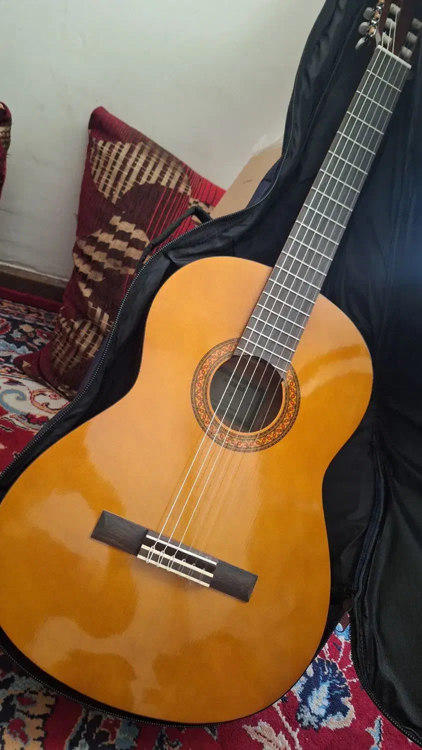 گیتار c40|گیتار، بیس، امپلیفایر|شیراز, دلجو|دیوار