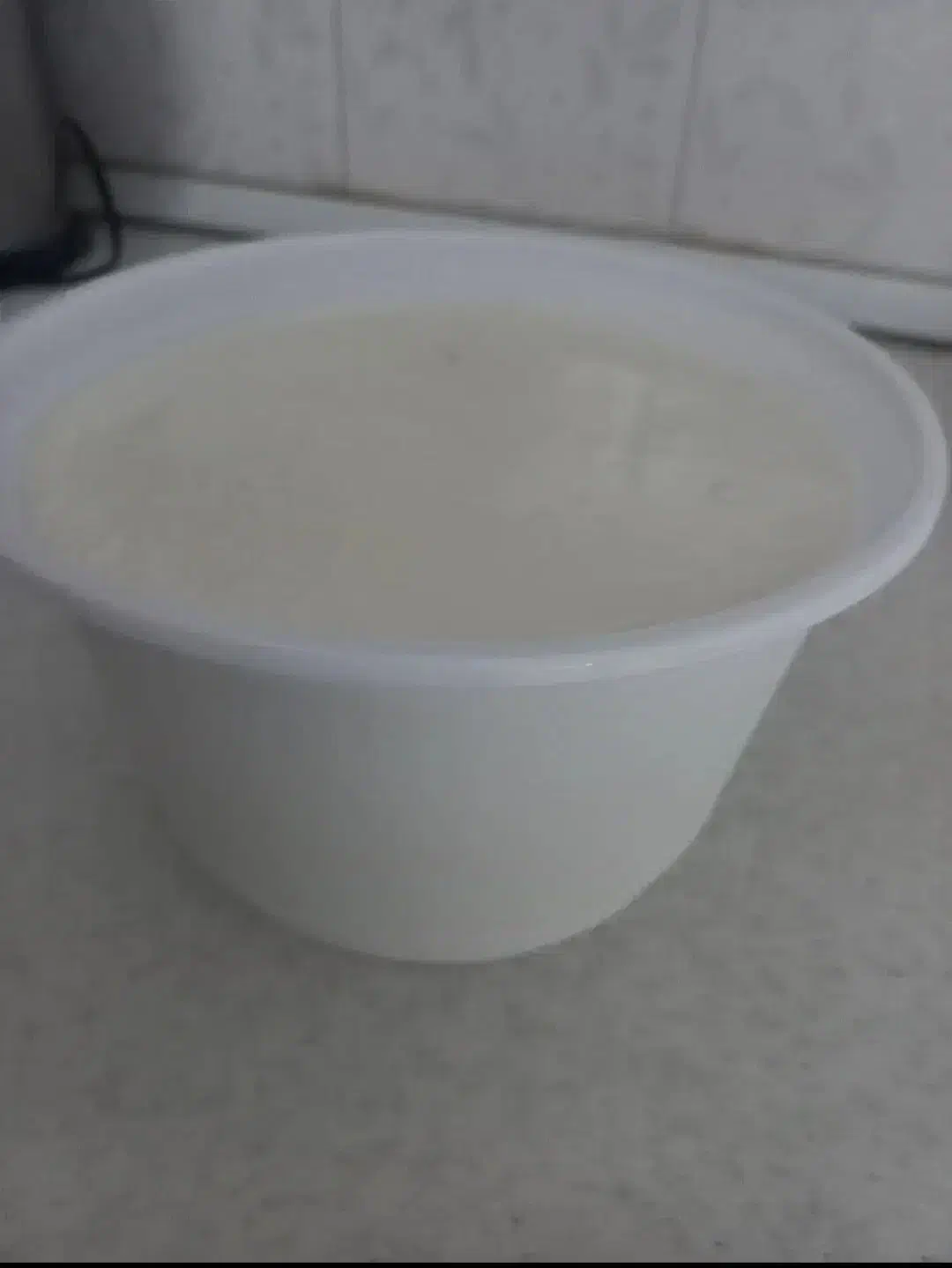 ماست محلی وشیر گاو|خوردنی و آشامیدنی|هشتگرد, هشتگرد قدیم|دیوار