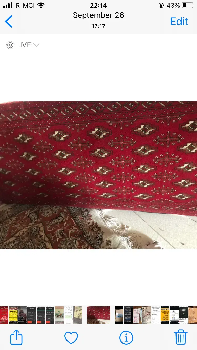 پشتی دستباف ترکمن|پشتی|هشتگرد, فاز ۱ مهستان|دیوار