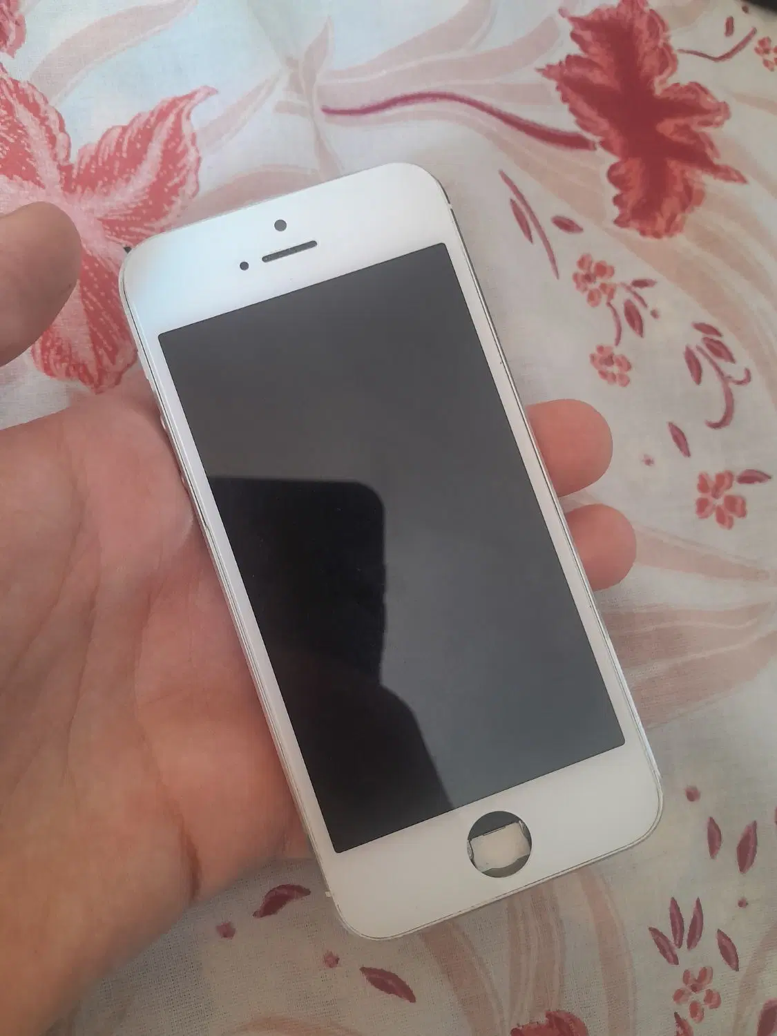 iphone 5|موبایل|اصفهان, ارغوانیه|دیوار