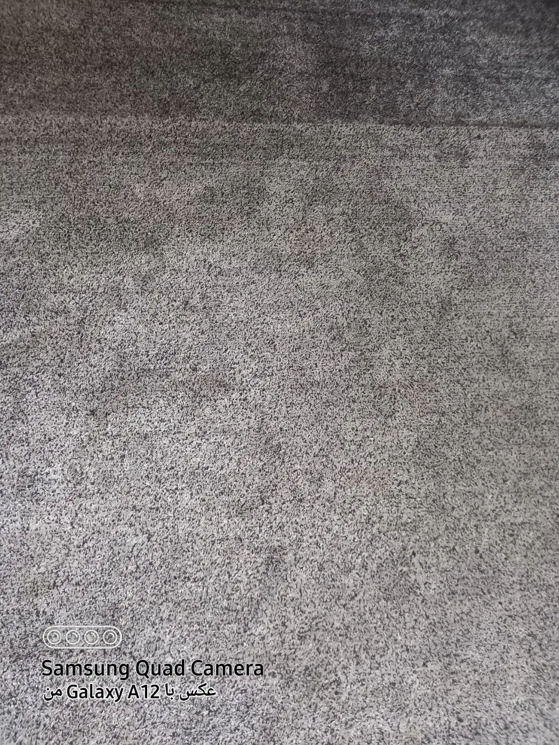 شستشوی مبل موکت فرش در منزل تضمینی|خدمات نظافت|ایزدشهر, |دیوار