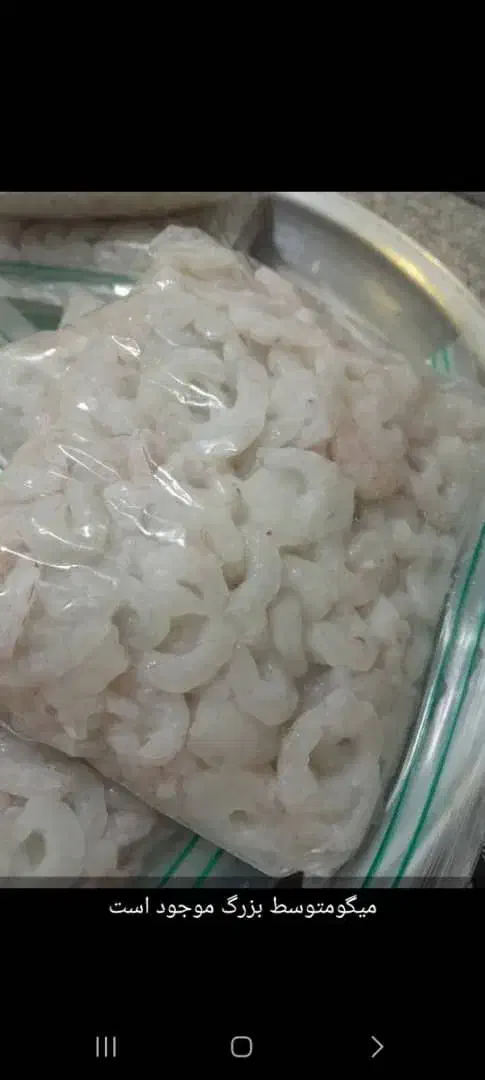 میگو|ماهیگیری|بندر امام خمینی, |دیوار