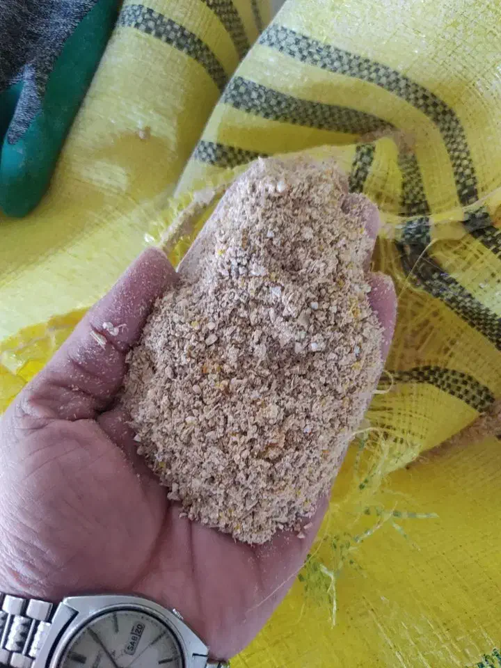 خوراک دام|لوازم جانبی حیوانات|الیگودرز, |دیوار