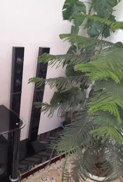 لوازم خانگی|ساعت دیواری و تزئینی|الیگودرز, |دیوار