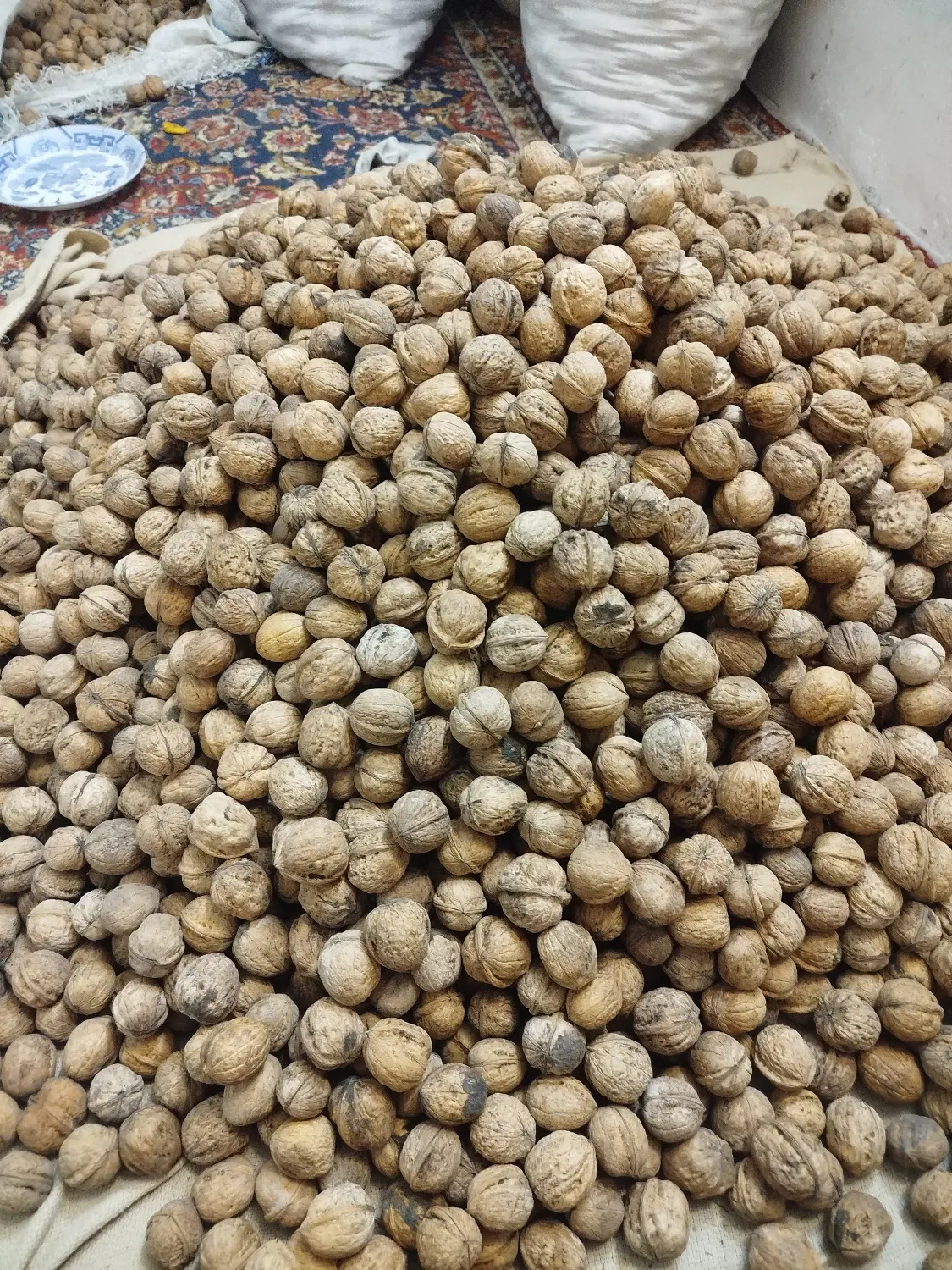 گردو|خوردنی و آشامیدنی|فیروزکوه, |دیوار