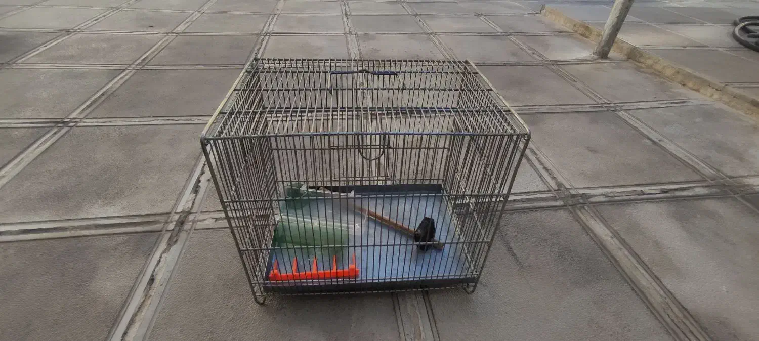 دوتا قفس غلامی، جفت تل|لوازم جانبی حیوانات|ایلام, |دیوار