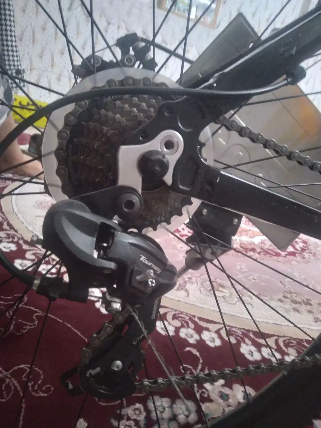 دوچرخه۲۹فونیکس|دوچرخه، اسکیت، اسکوتر|الشتر, |دیوار