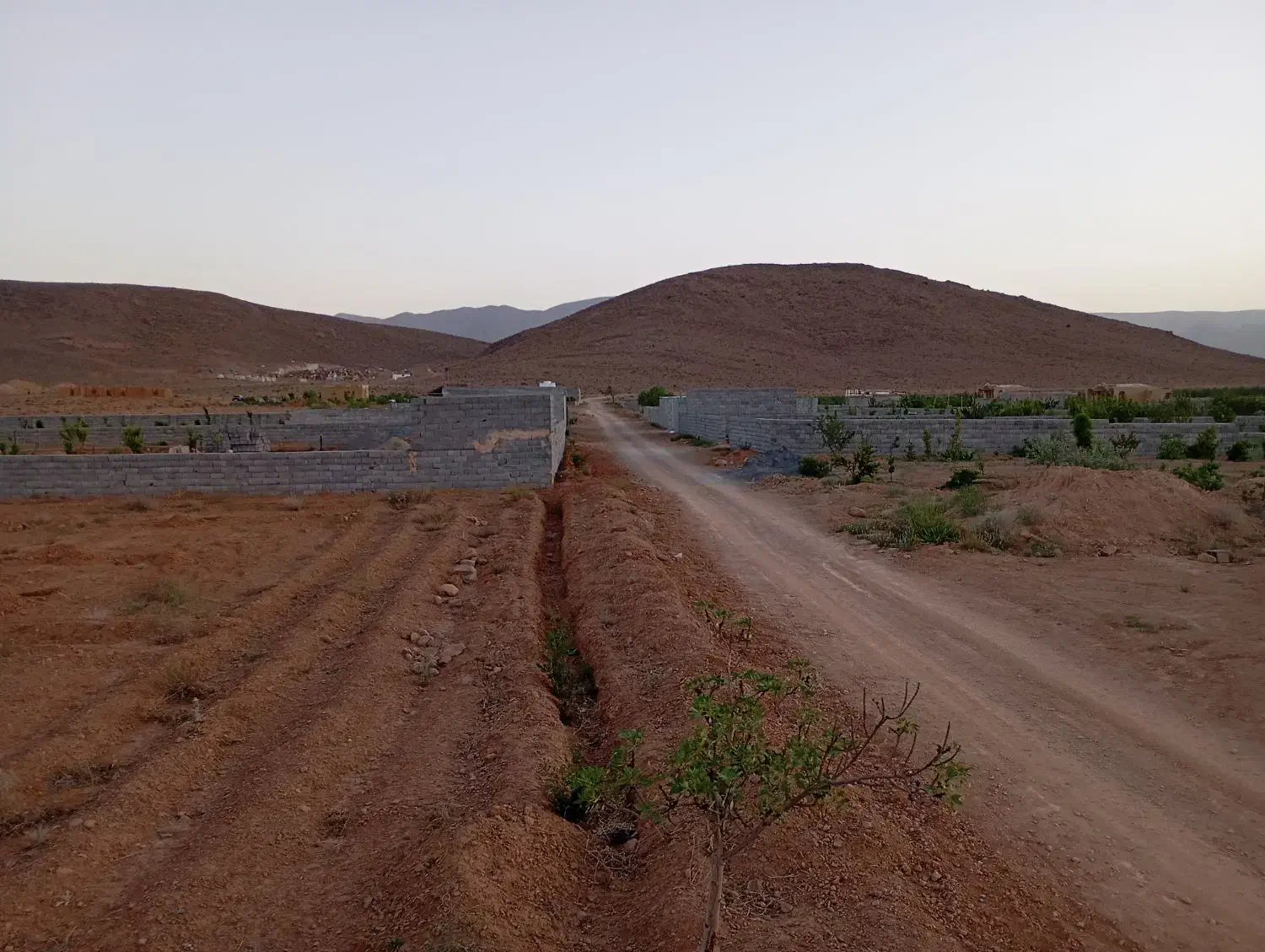 باغ|فروش زمین و ملک کلنگی|مبارکه, |دیوار