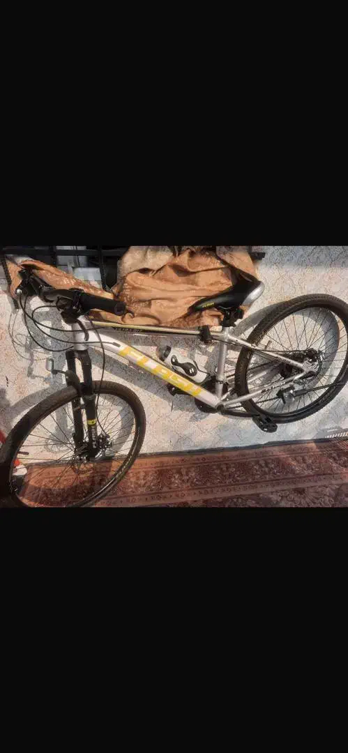 دوچرخه|دوچرخه، اسکیت، اسکوتر|رشت, شکار اسطلخ|دیوار