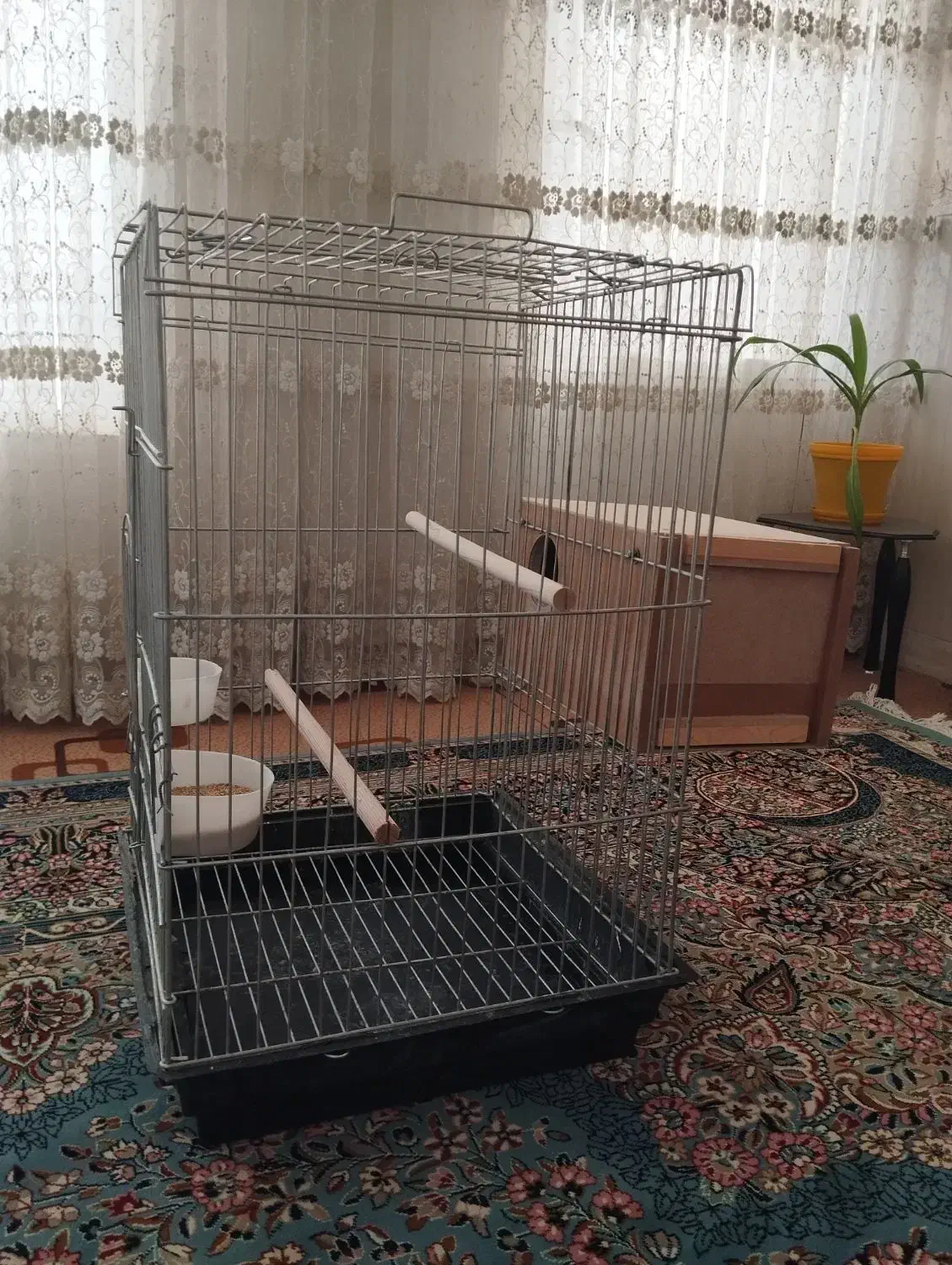 قفس بزرگ طوطی سانان|لوازم جانبی حیوانات|اردکان, |دیوار