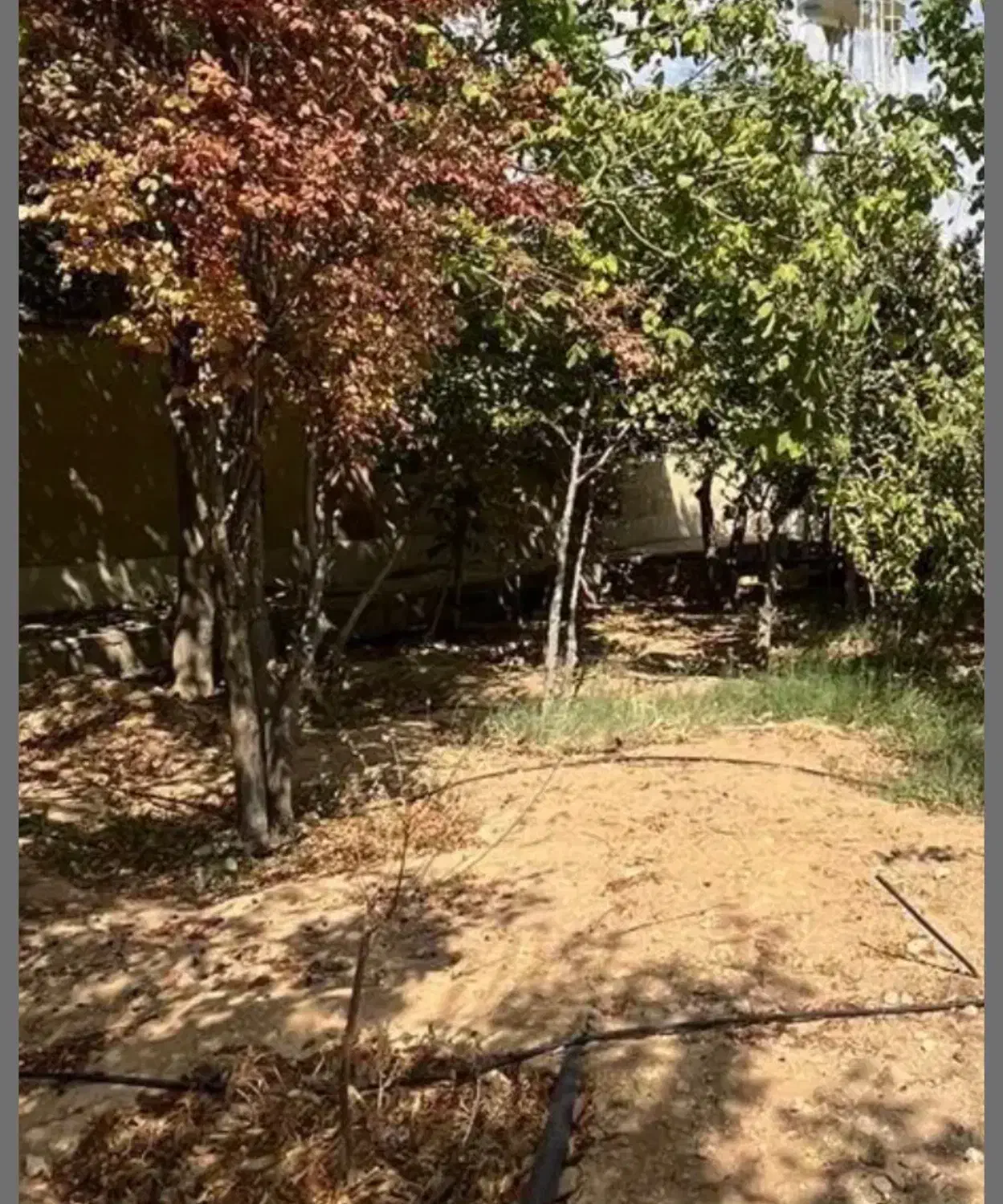 دو پلاک کنار هم قصر سبز بهترین لوکیشن|فروش زمین و ملک کلنگی|شیراز, باغشهر قصر سبز|دیوار