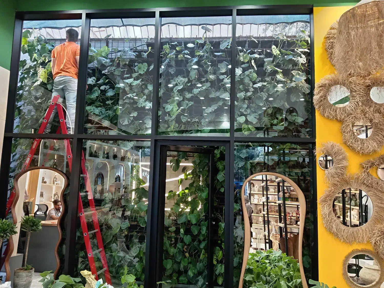 خدمات گل و گیاه|خدمات باغبانی و درختکاری|قم, شهرک قدس|دیوار