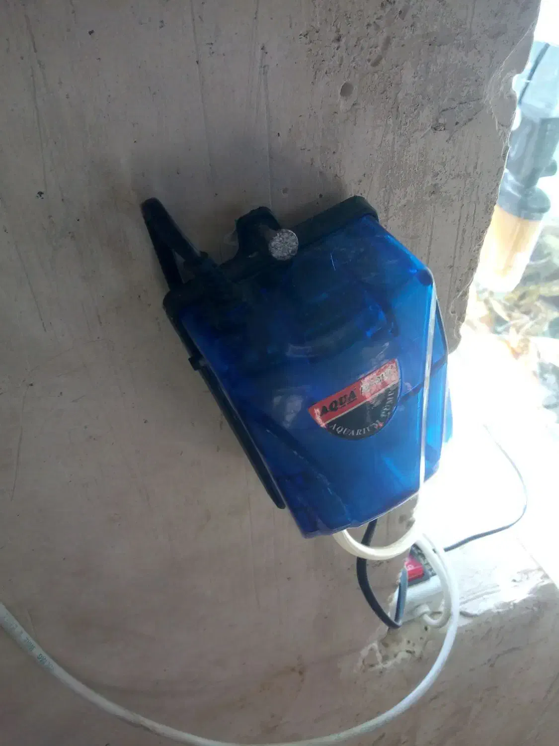 آکواریوم|ماهی|ماکو, |دیوار