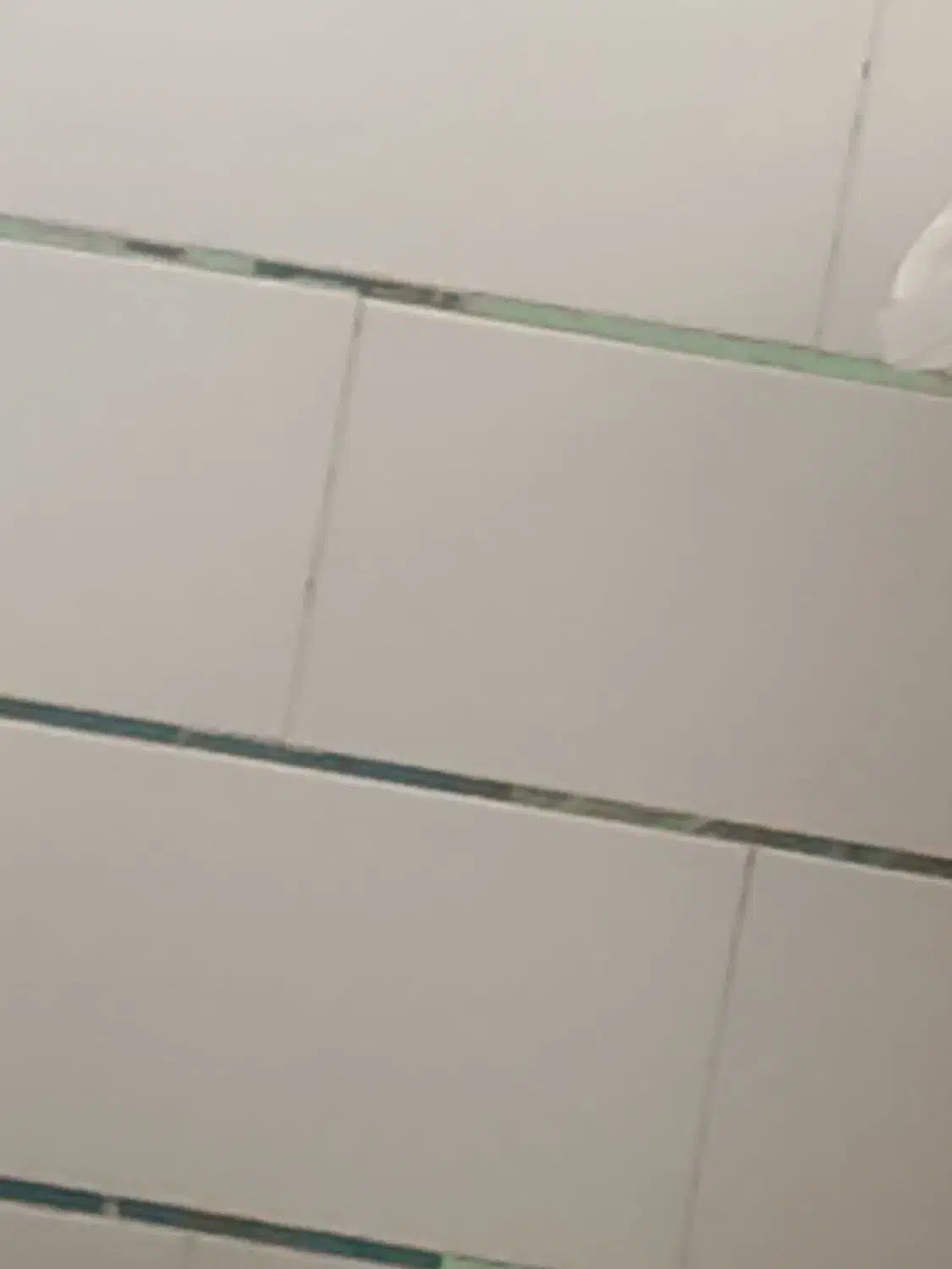 فروش واحد یک خواب شهدای لبنان|فروش آپارتمان|شاهرود, |دیوار