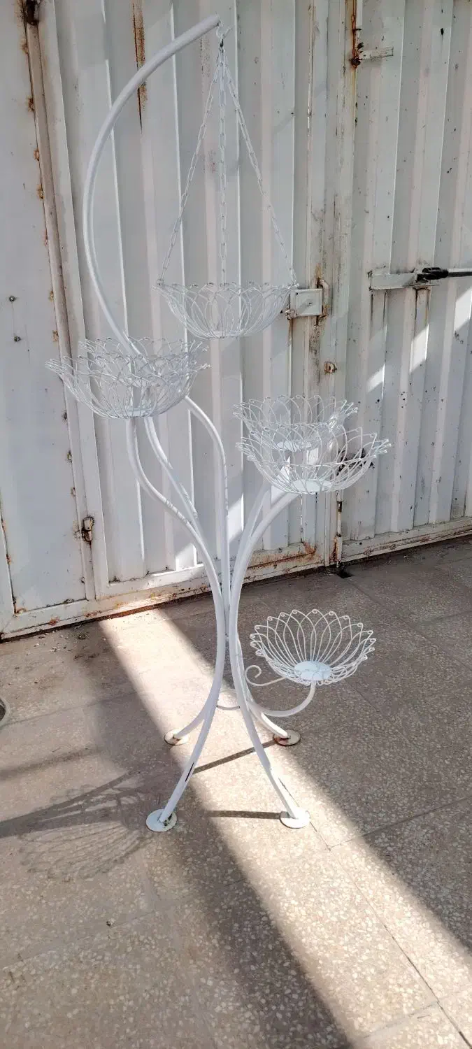 استندگل|گل و گیاه طبیعی|کرمان, |دیوار