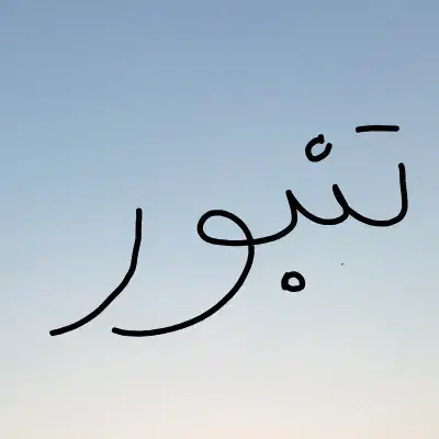 تنبور کاسه ای حرفه ای|سازهای سنتی|قصرشیرین, |دیوار