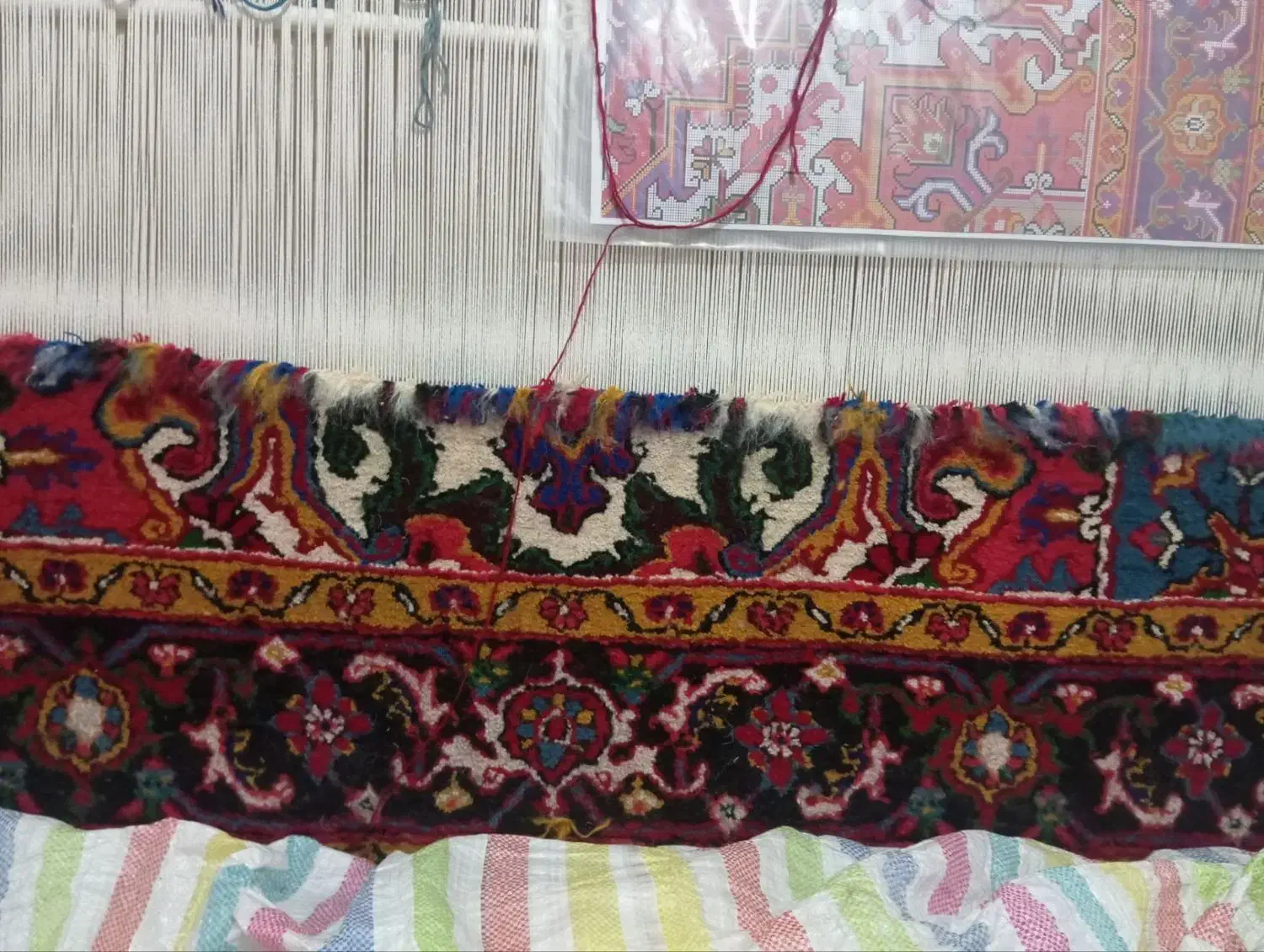 فرش|فرش|اهر, |دیوار