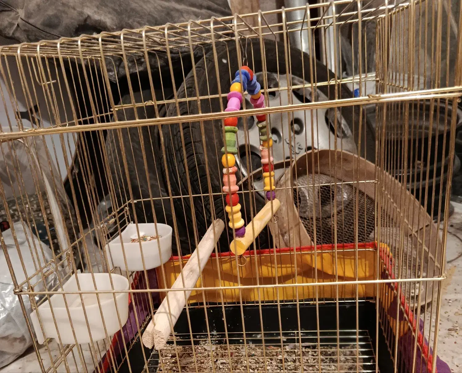 قفس|لوازم جانبی حیوانات|قم, نیروگاه|دیوار