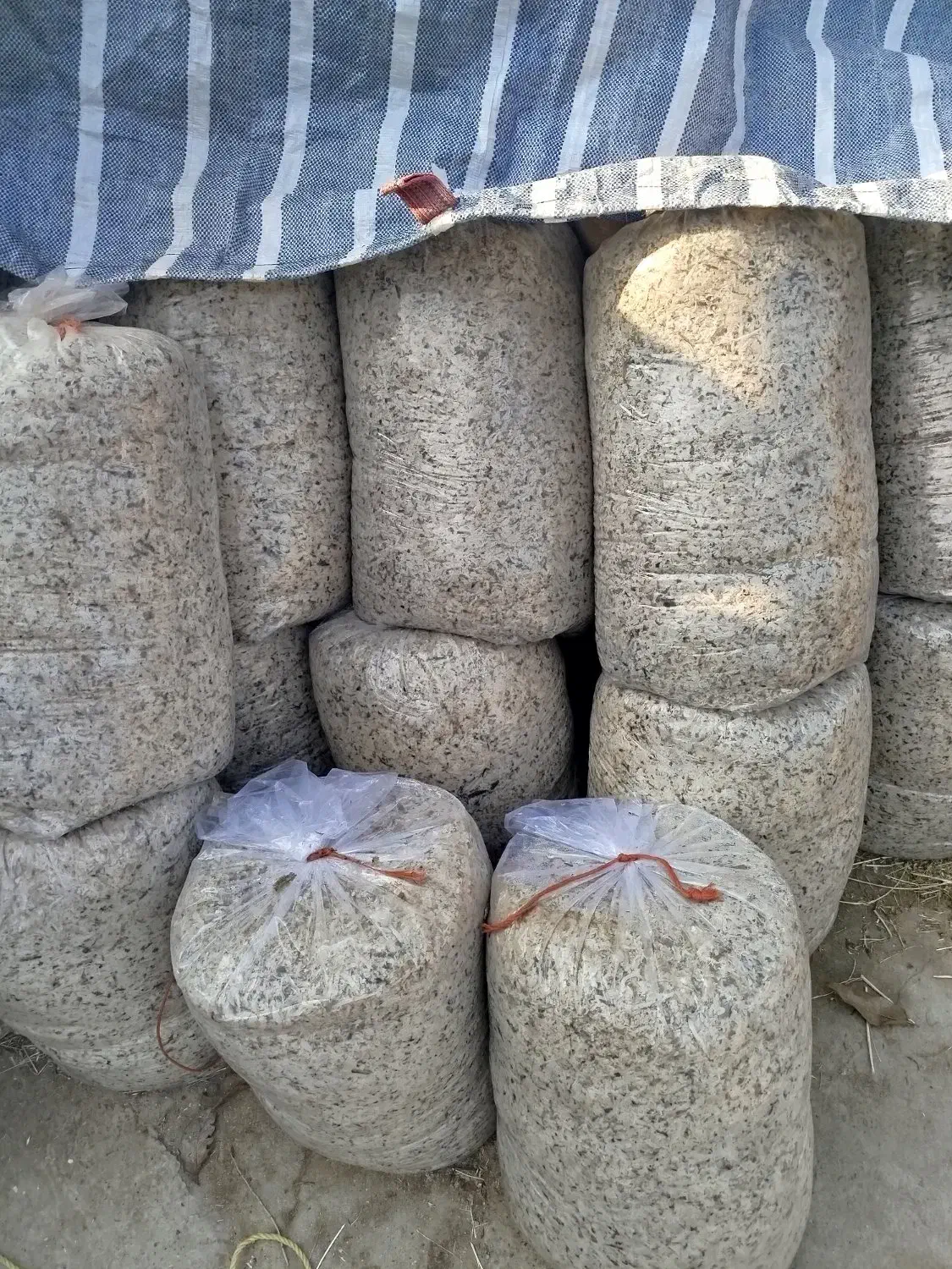 تفاله چغندر|لوازم جانبی حیوانات|چهاربرج, |دیوار