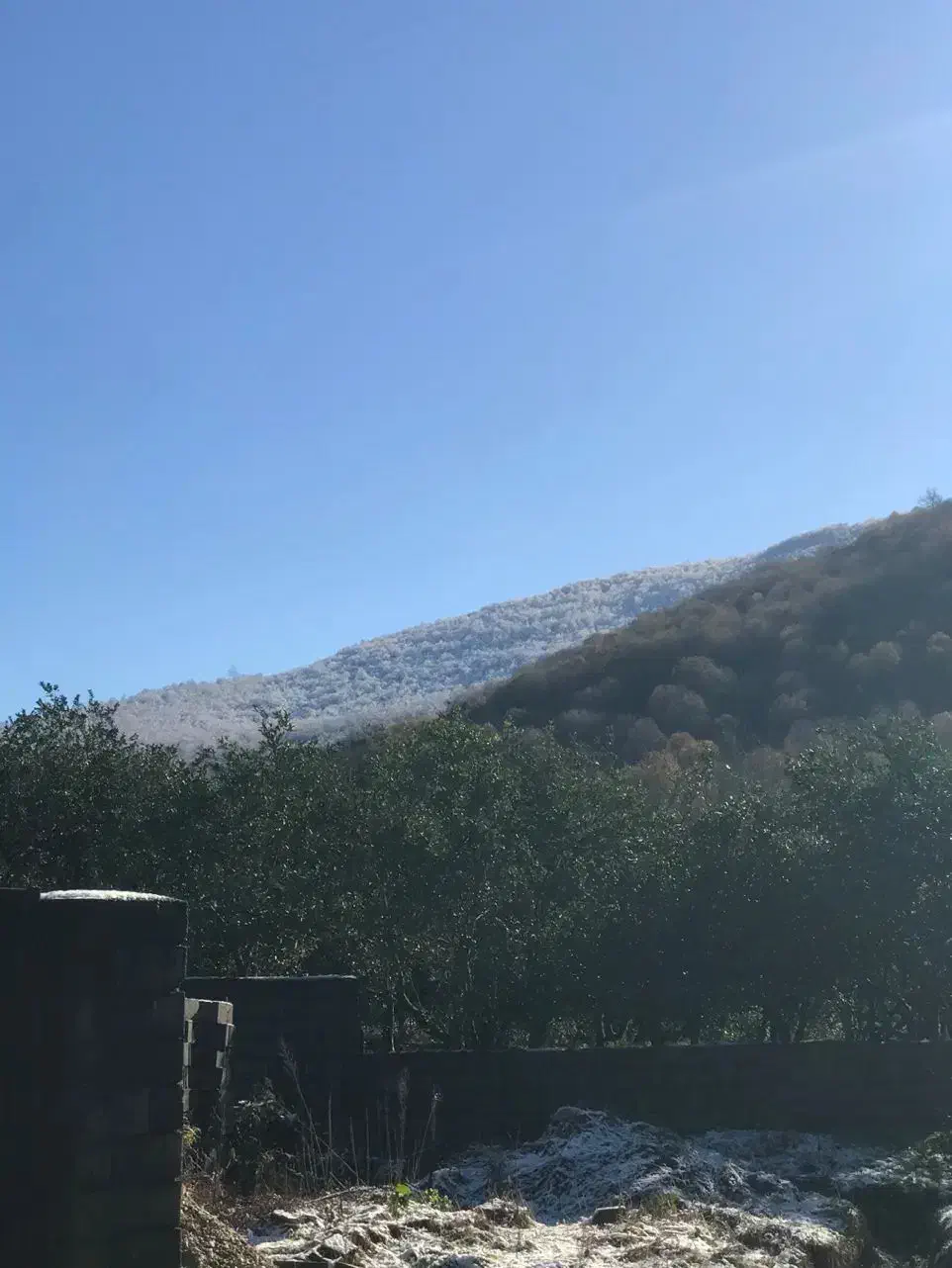 زمین داخل بافت،دو قطعه۲۵۰،سند۶دانگ،عباس آباد،گرداب|فروش زمین و ملک کلنگی|عباس‌آباد, |دیوار