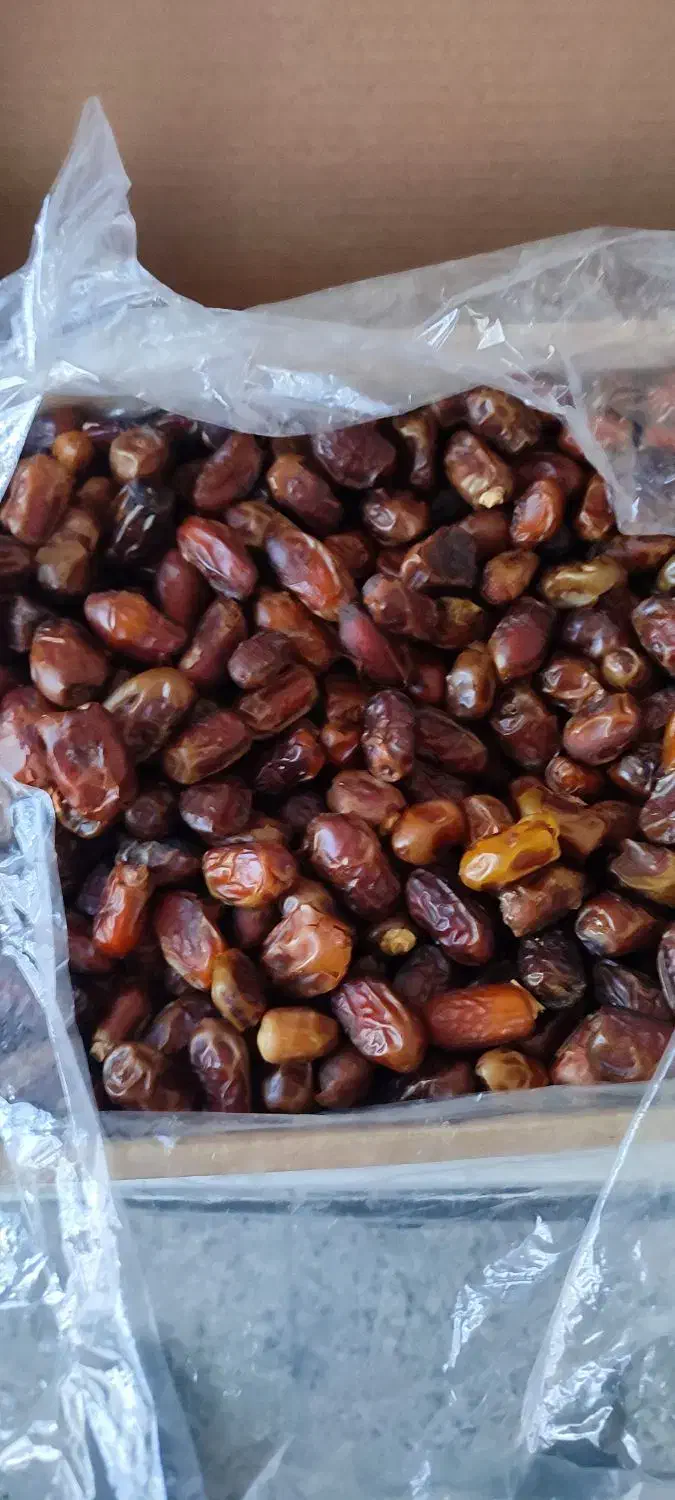 خرما|خوردنی و آشامیدنی|نیشابور, میدون بار|دیوار