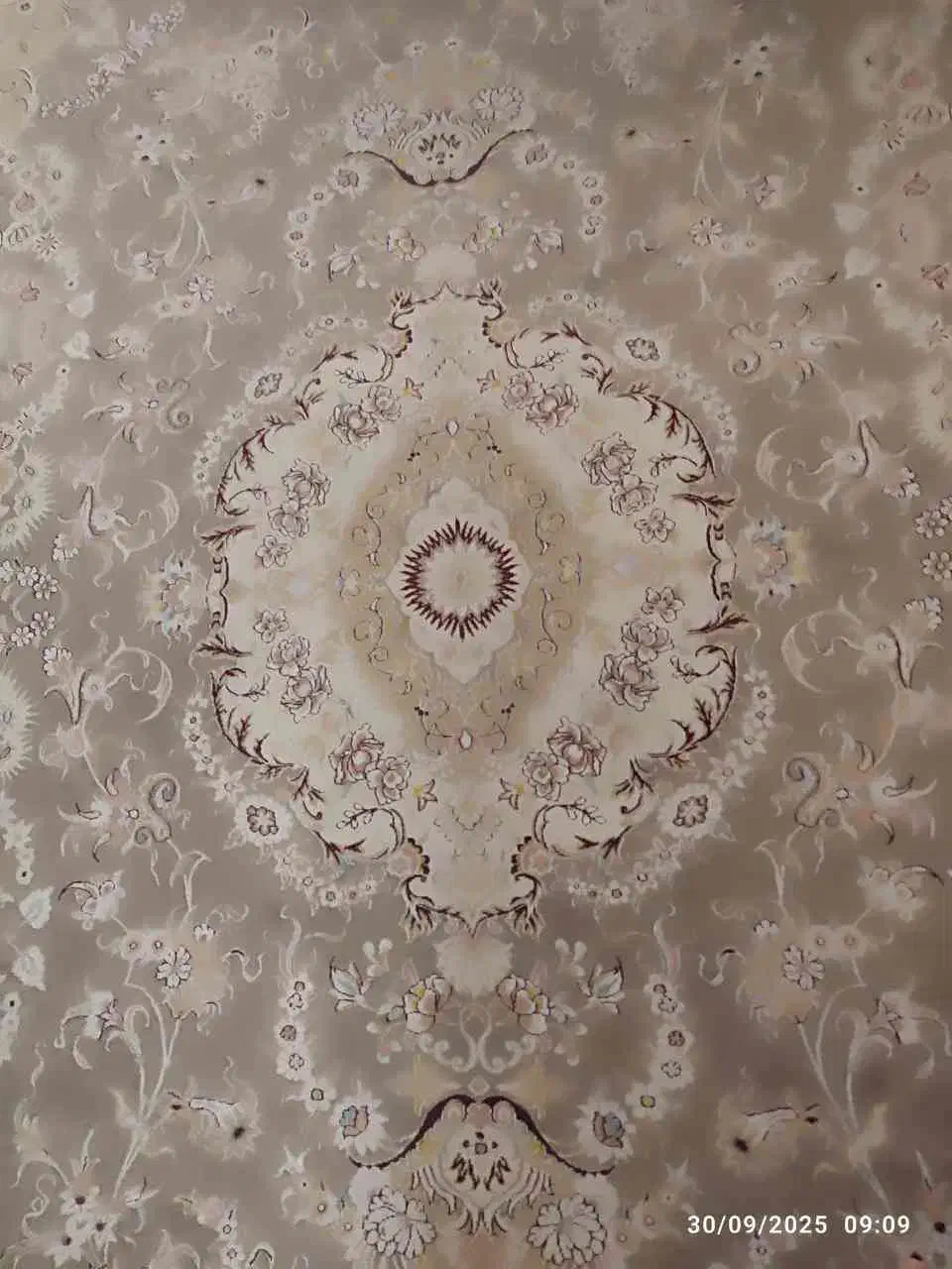 قالی ۱۲ متری|فرش|قوچان, |دیوار