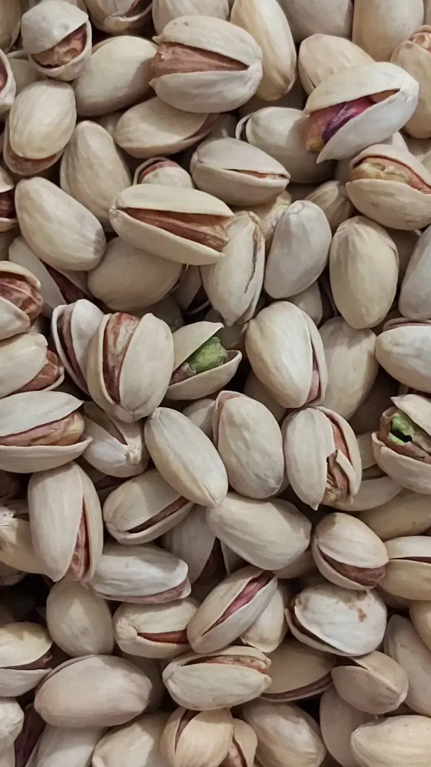 گردو پسته بادام مویز لوبیانخود عدس انجیرآلو شکلات|خوردنی و آشامیدنی|قم, باسکول|دیوار