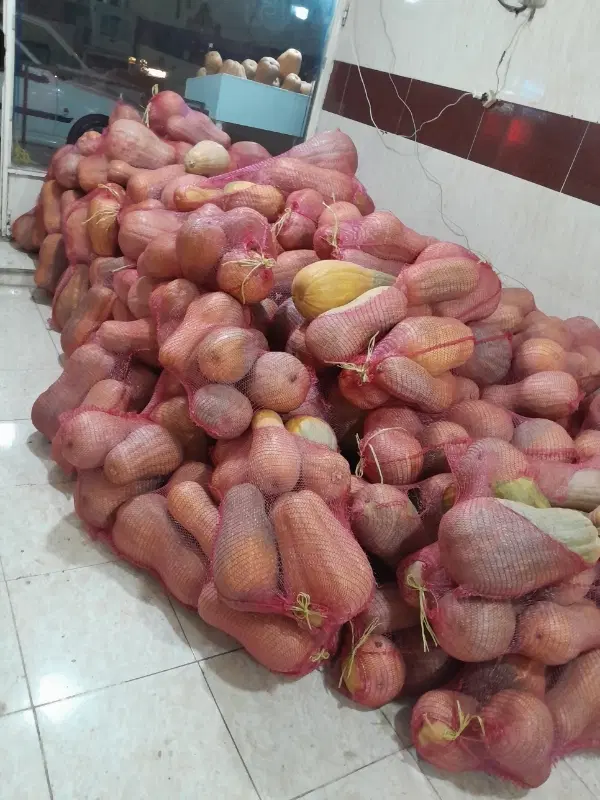 کدو|عمده‌فروشی|اردبیل, |دیوار