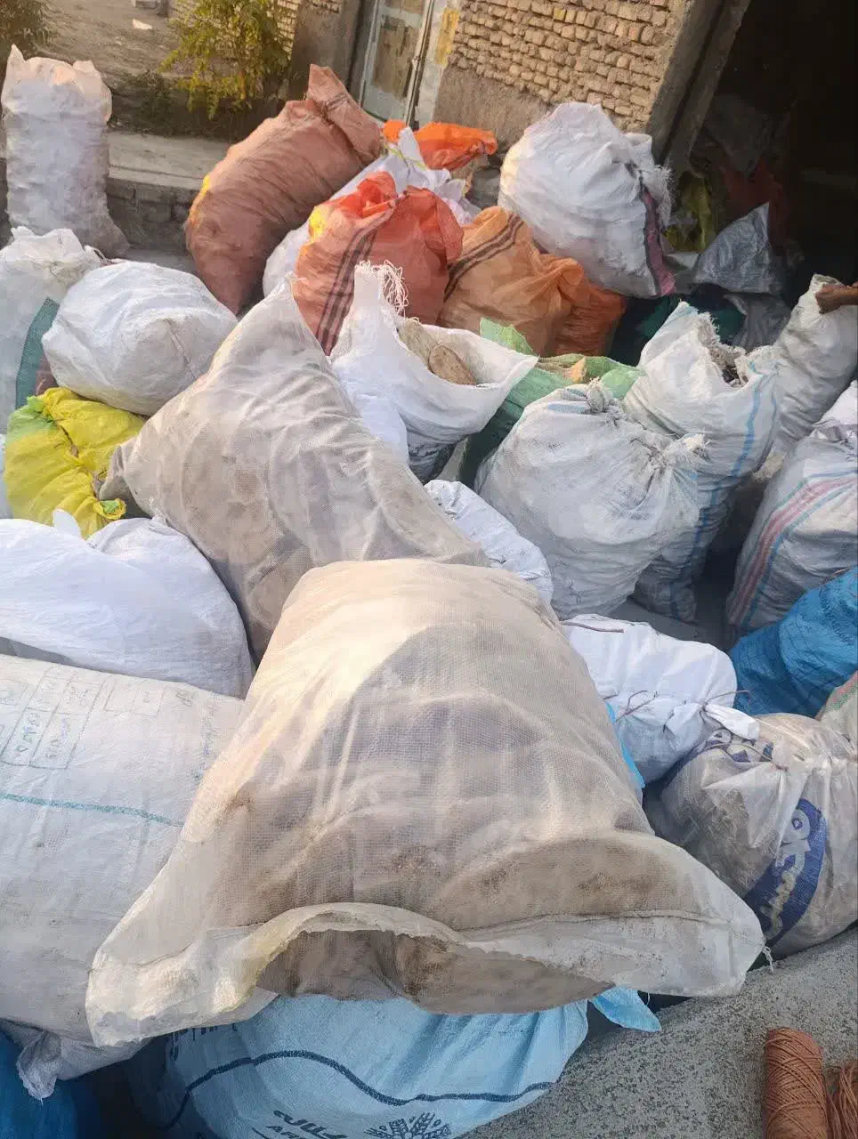 نان خشک بدون کپک تافتون|لوازم جانبی حیوانات|مشهد, انقلاب|دیوار