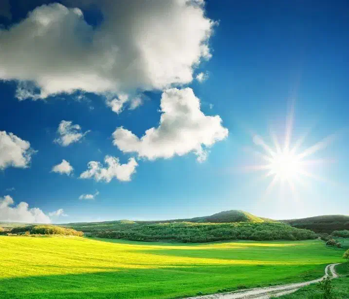 خدمات چمن زنی با دستگاه علف زن و روتوری|خدمات باغبانی و درختکاری|بابل, |دیوار