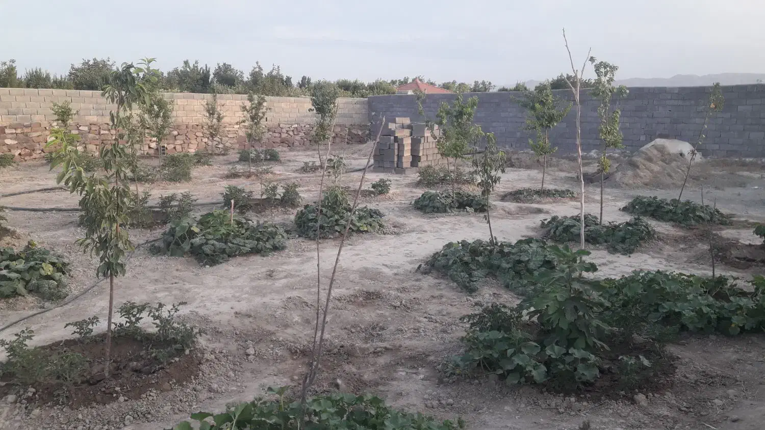 باغ فروشی سمندر|فروش خانه و ویلا|چناران, |دیوار