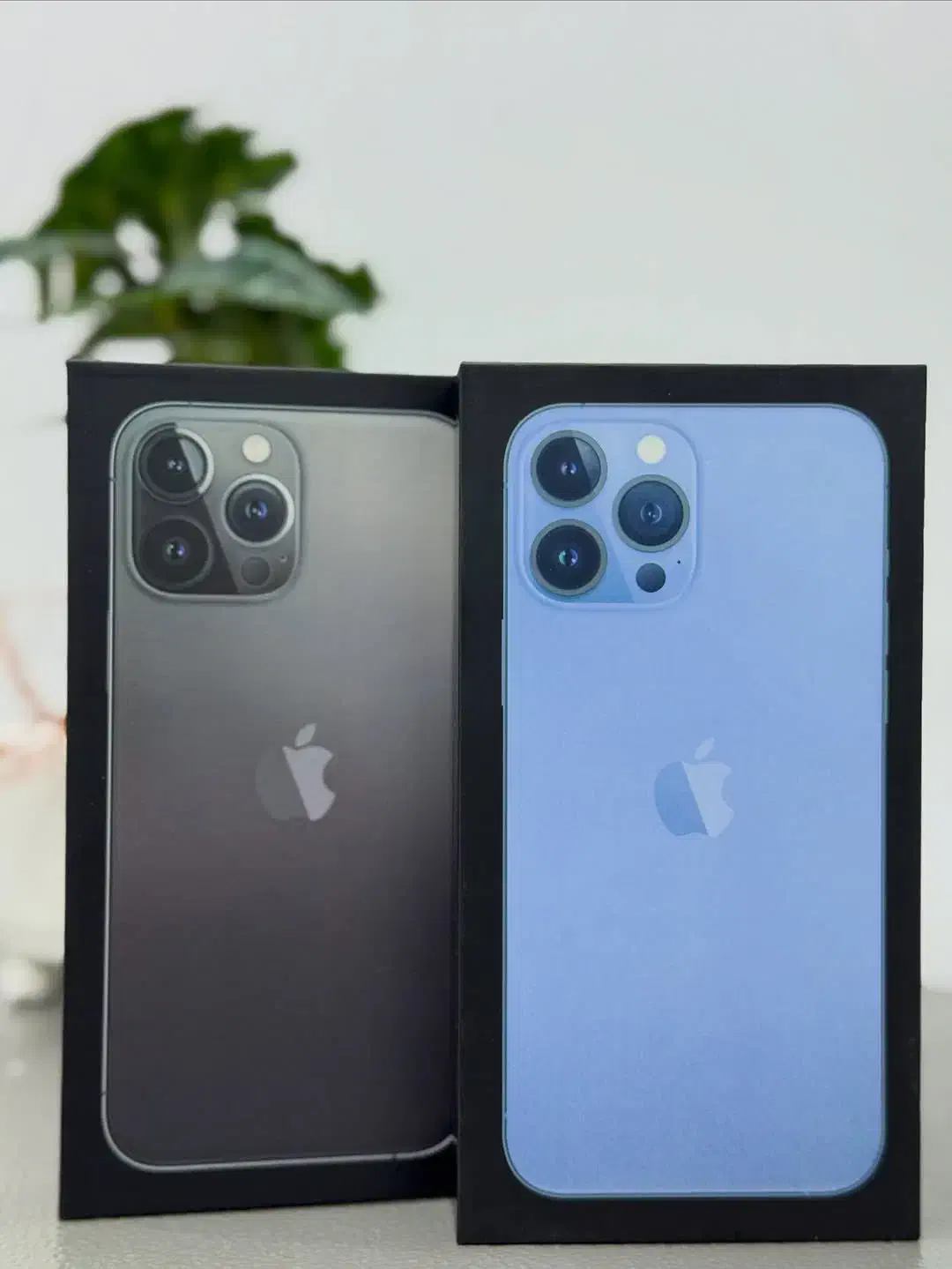 فروش ویژه ایفون ۱۳ پرومکس اقساطی با چک و سفته|موبایل|تهران, گیشا|دیوار