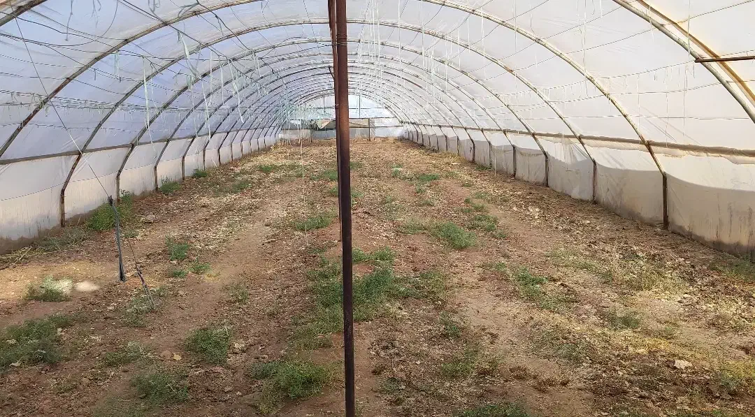 گلخانه|ماشینآلات صنعتی|فیروزه, |دیوار