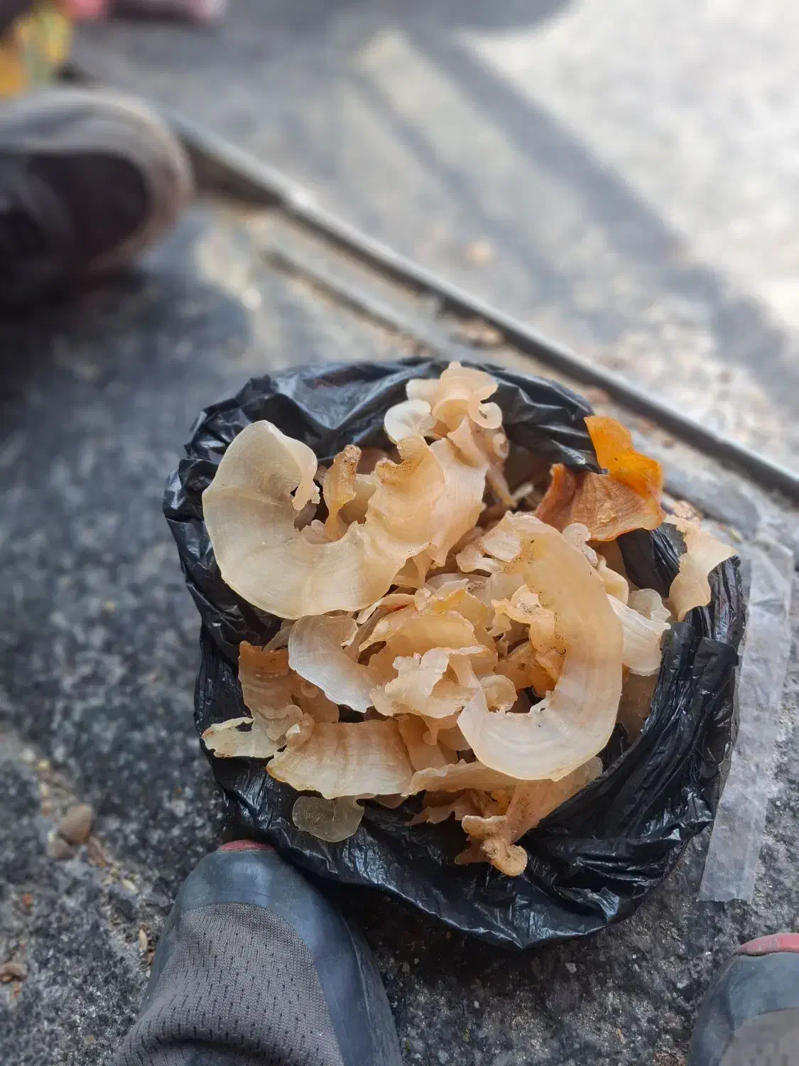 خریدو فروش انواع خشکبار سماق ،بادام،کتیرا،|خوردنی و آشامیدنی|بانه, |دیوار