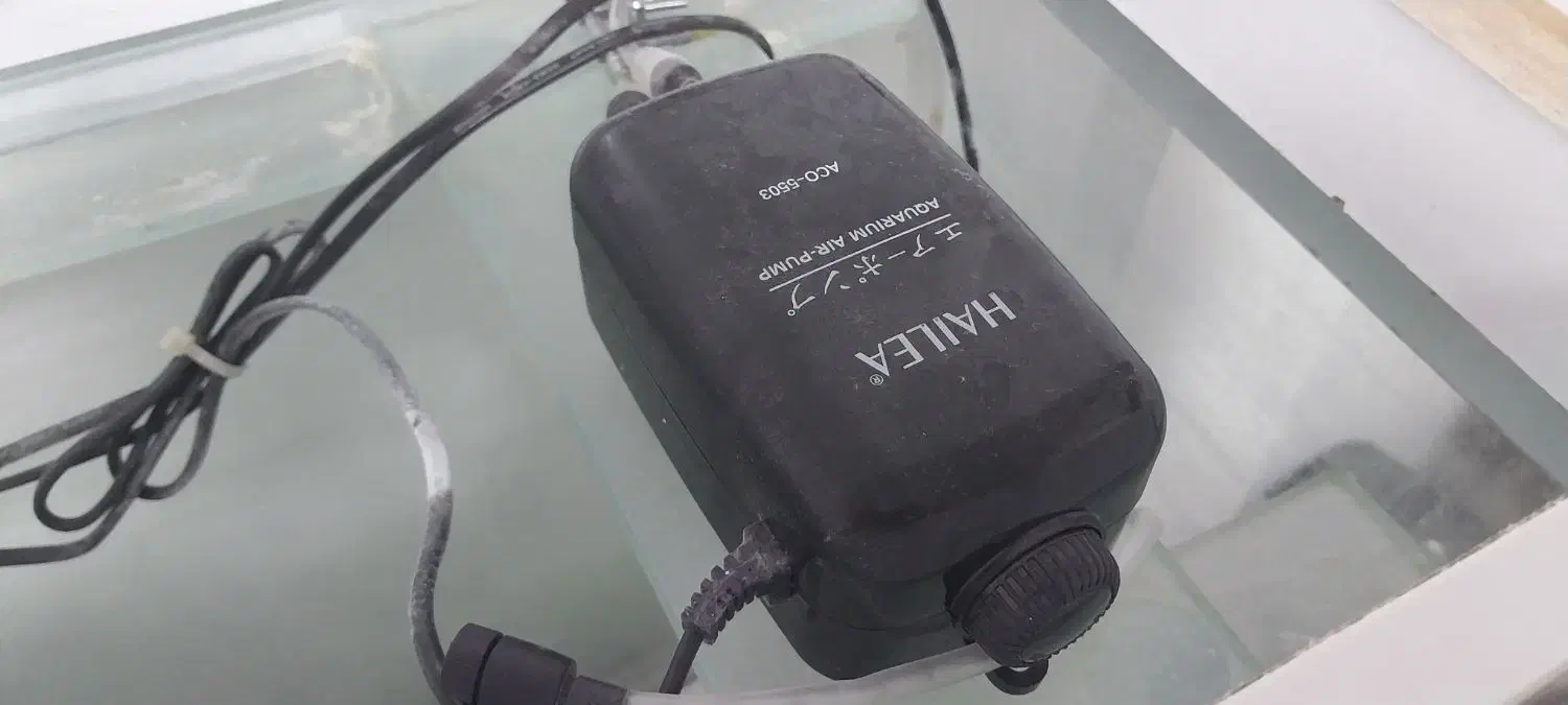 آکواریوم|ماهی|چهاردانگه (تهران), |دیوار