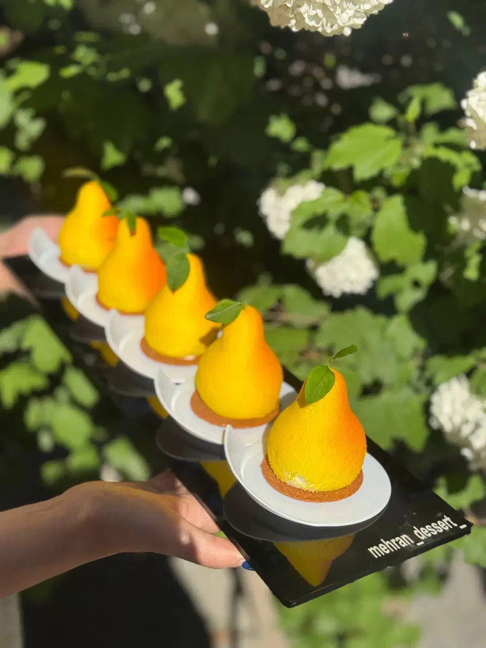 دوره مستردسر|خدمات آموزشی|تبریز, |دیوار