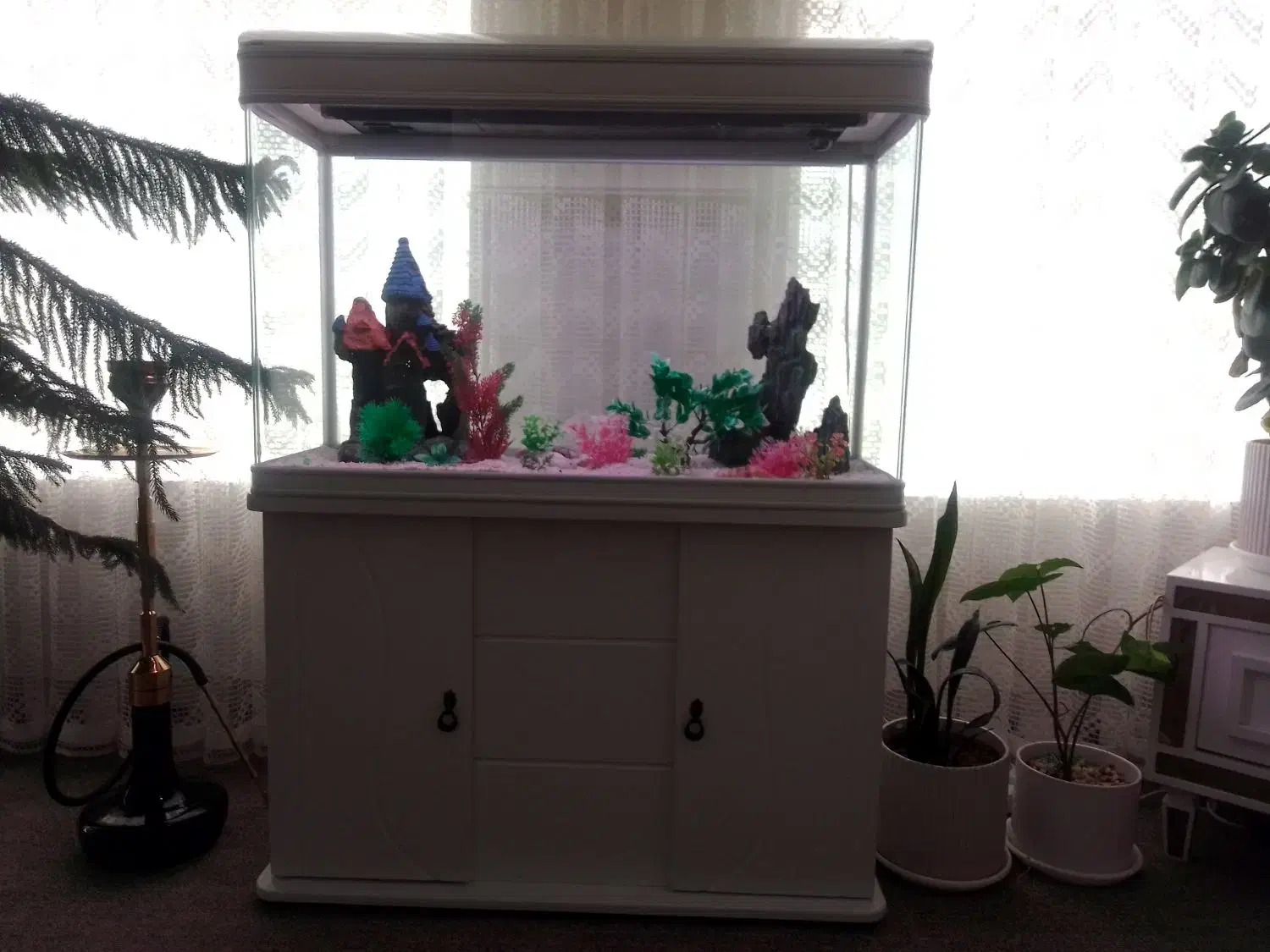 توافقی|ماهی|ایلام, |دیوار