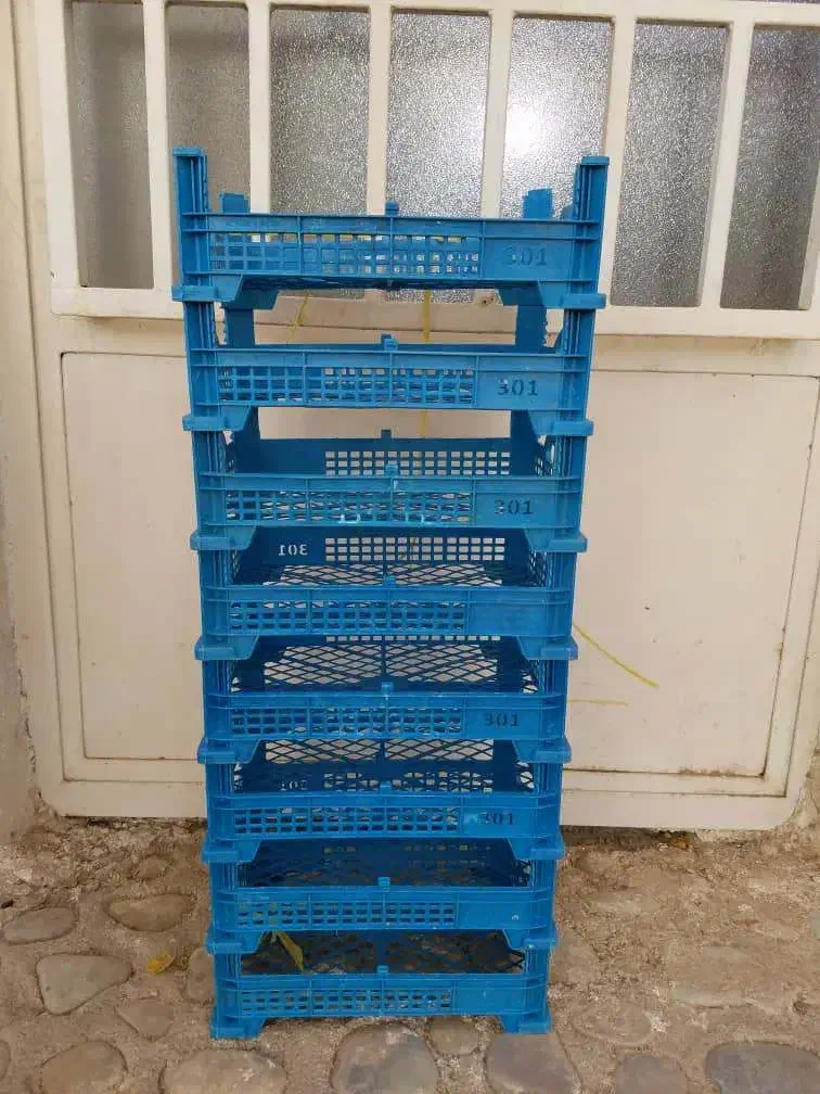 جعبه میوه (نو)|ظروف نگهدارنده، پلاستیکی، یکبارمصرف|گرمدره, |دیوار