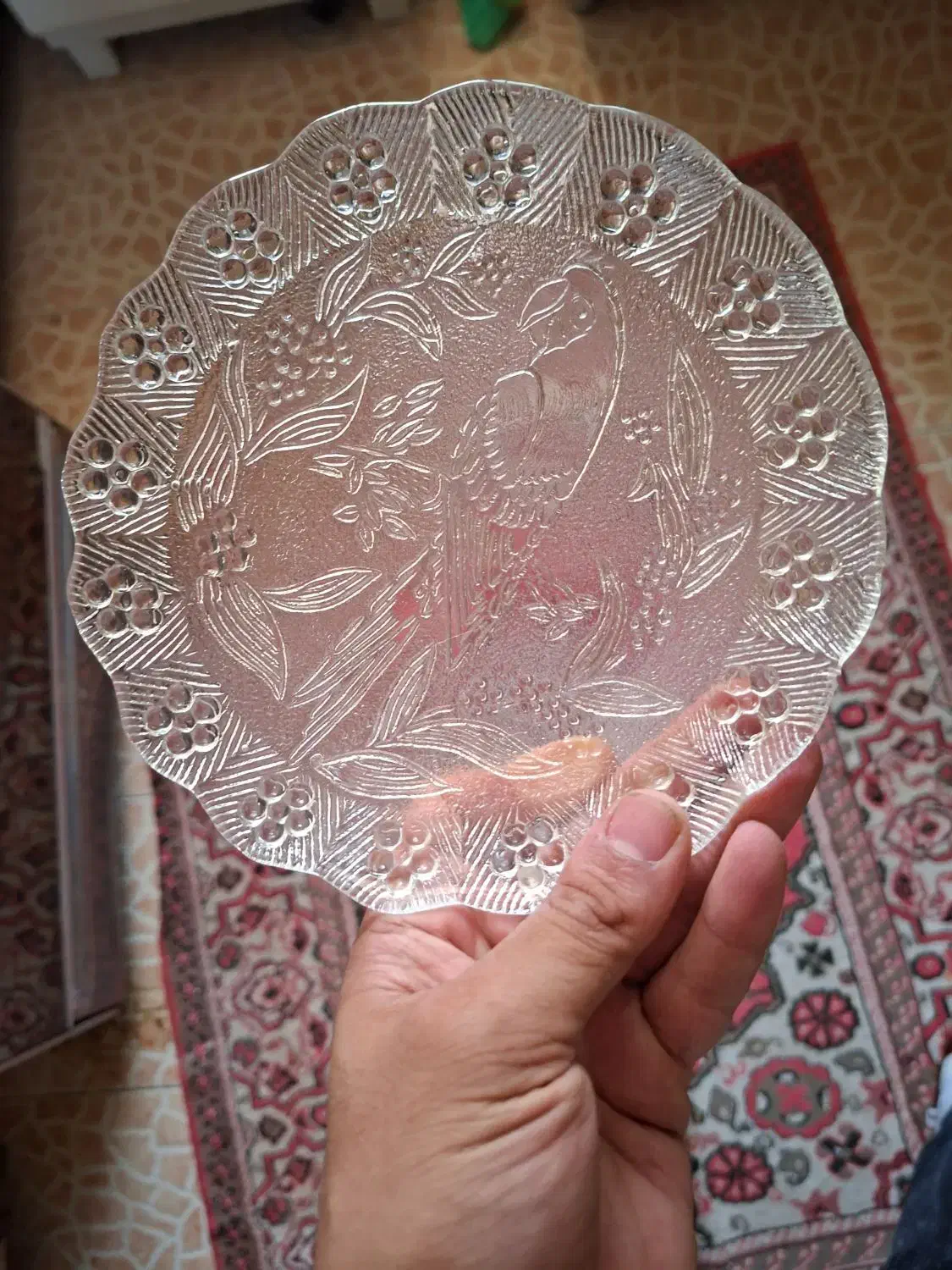 میوه خوری طرح ورساچیو..|ظروف سرو و پذیرایی|شیراز, گویم|دیوار