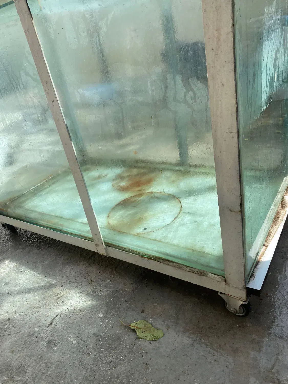 آکواریوم مناسب مغازه|فروشگاه و مغازه|عجب شیر, |دیوار