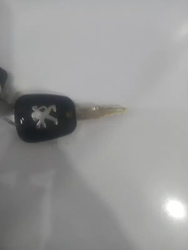 گمشده سویچ‌ماشین وتعداد۵کلید کاورداشته این یدک هست|اشیا|تربت‌حیدریه, مسجد جامع|دیوار