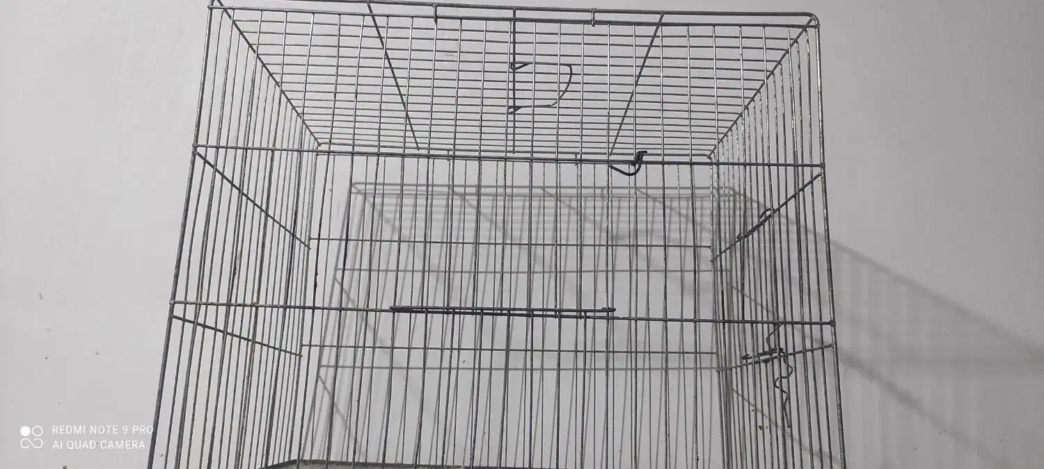 قفس طوطی برزیلی،راهب،فنچ،|لوازم جانبی حیوانات|سوسنگرد, |دیوار