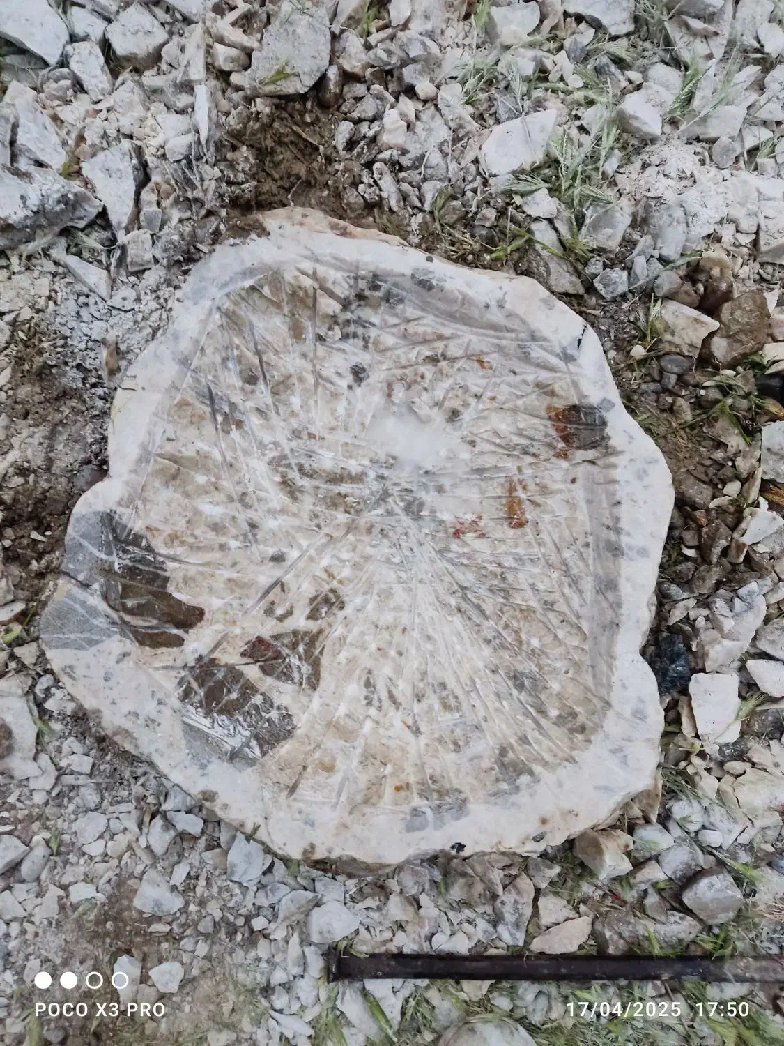 کاسه روشویی سنگی.رودخانه ای|لوازم سرویس بهداشتی|مشهد, پنجتن|دیوار