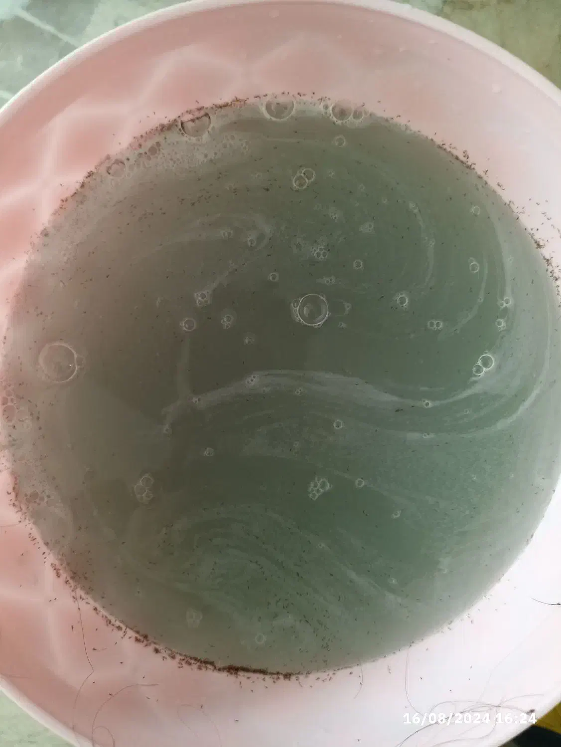 پاکسازی شپش و رشک|آرایشی، بهداشتی، درمانی|زرگرشهر, |دیوار