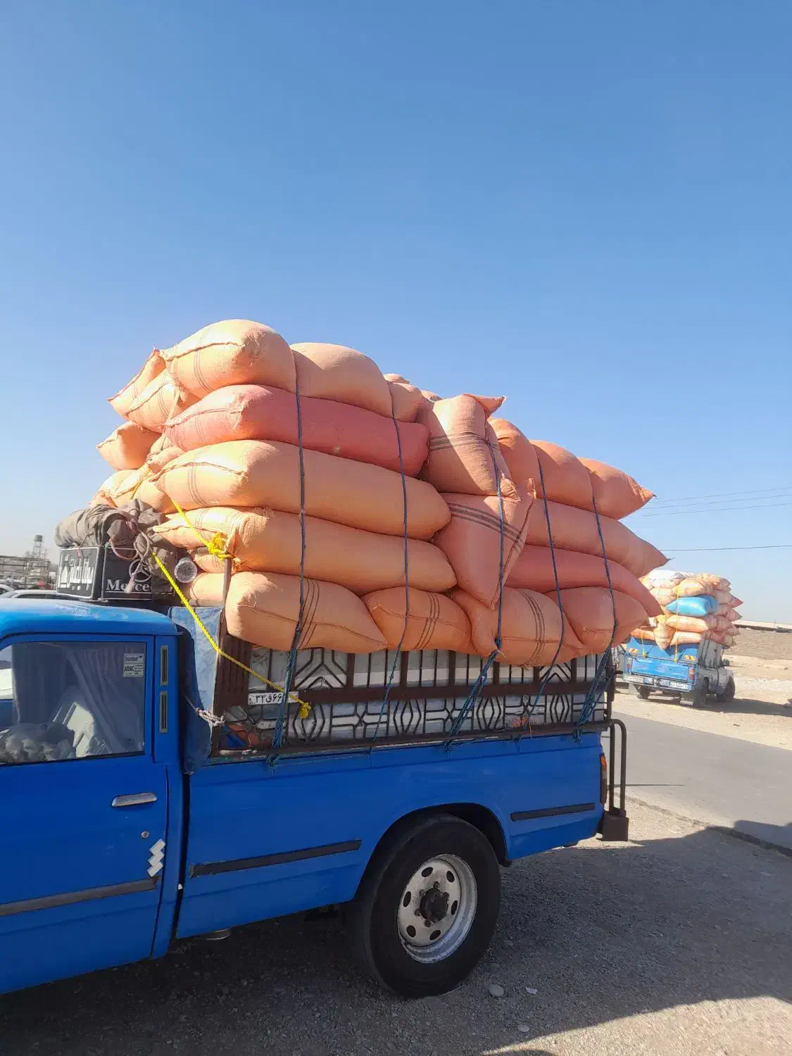 کاه|حیوانات مزرعه|پلدختر, |دیوار